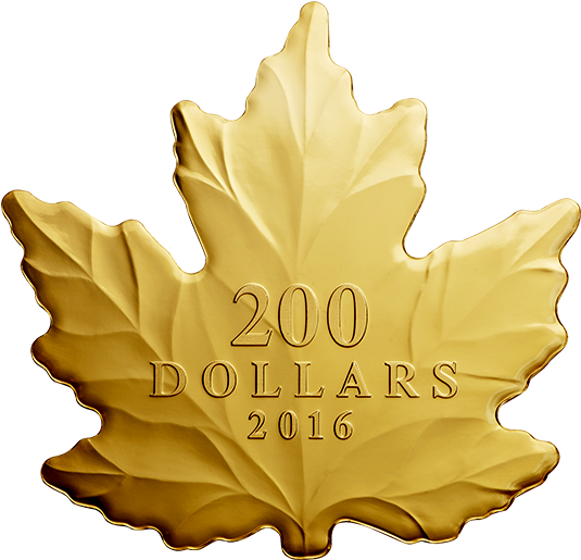 Download Pure Gold Coin Maple Leaf Silhouette Mintage 200 Dollar Gold Maple Leaf Full Size