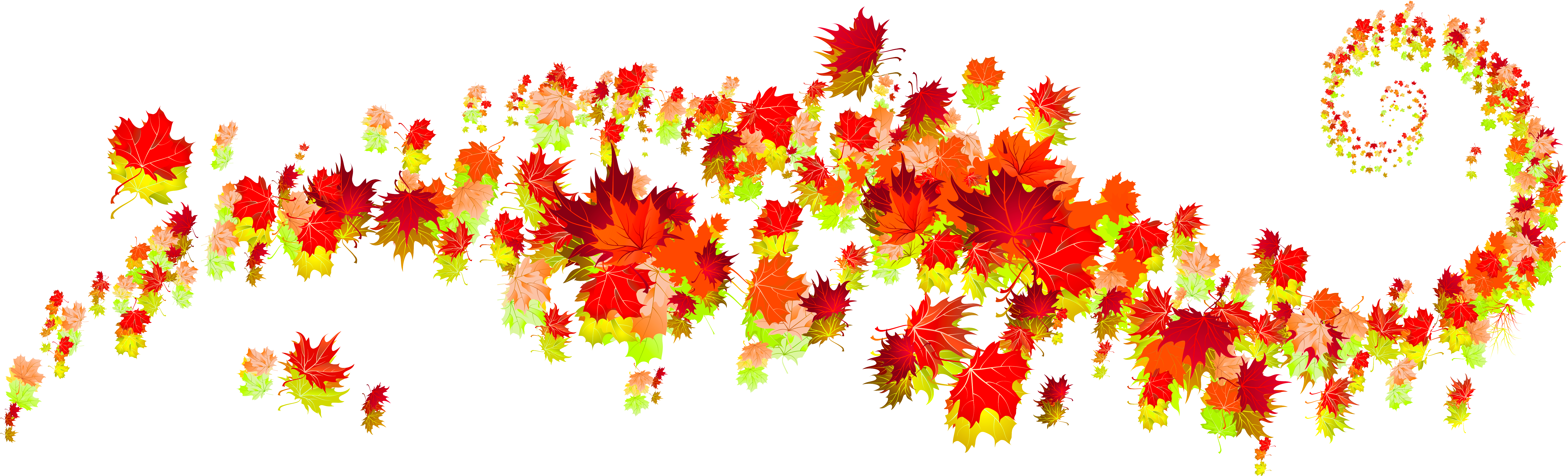 Blowing Leaves - « - 楓葉 花邊 (7561x2383), Png Download