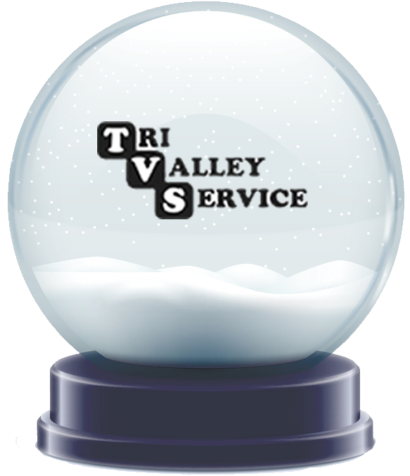 Sm Tvs-snowglobe (581x691), Png Download
