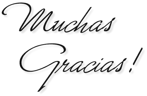 Agradecemos Su Donación - Gracias Clipart (500x328), Png Download