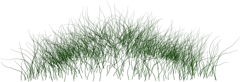 Download Grass Photoshop Png Jpg Free Download Png Water Plants Full Size Png Image Pngkit
