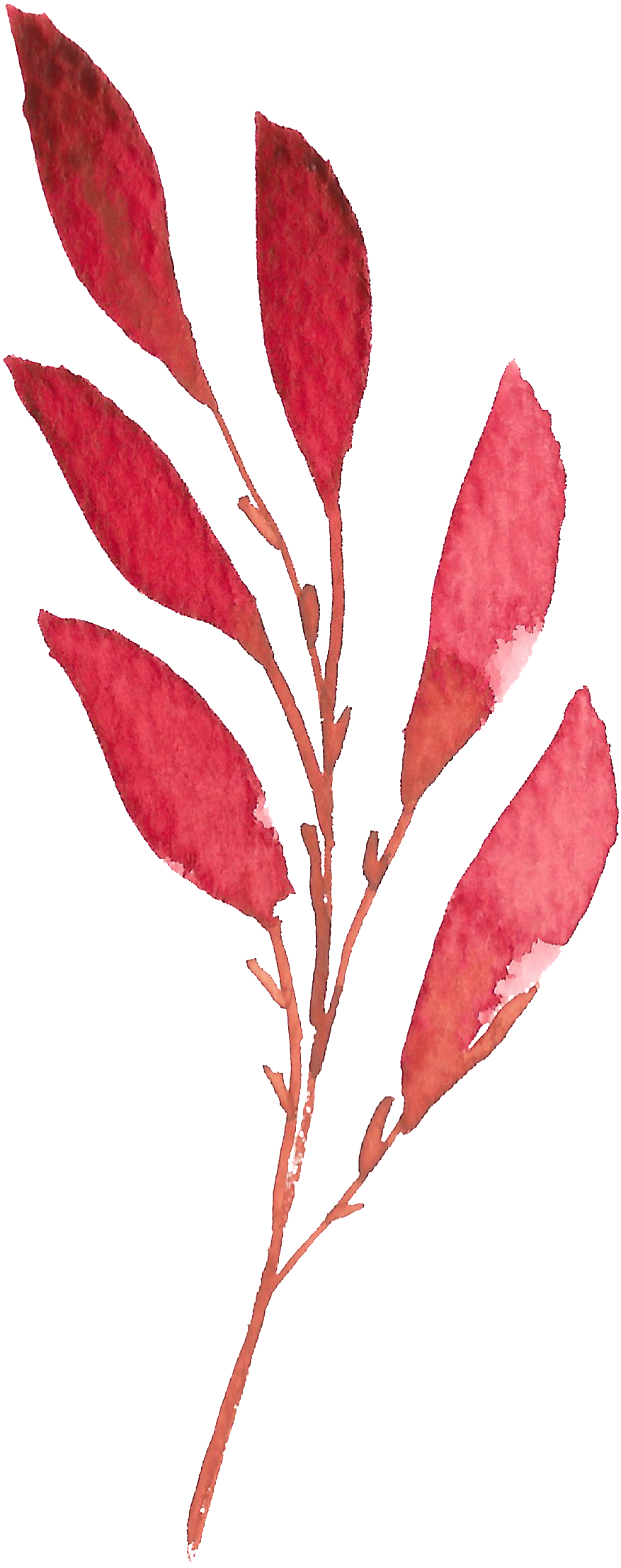 Hand Painted A Red Leaf Watercolor Transparent - Watercolor Painting (1024x2237), Png Download
