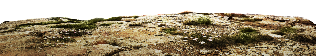 Dry Ground Transparent - Portable Network Graphics (1024x409), Png Download