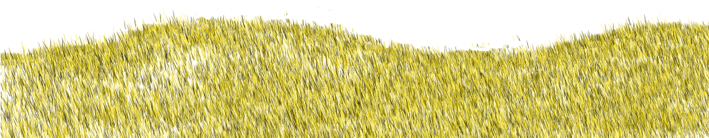 Drygrass - Field (1025x450), Png Download