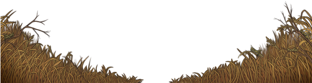 Grass (640x500), Png Download