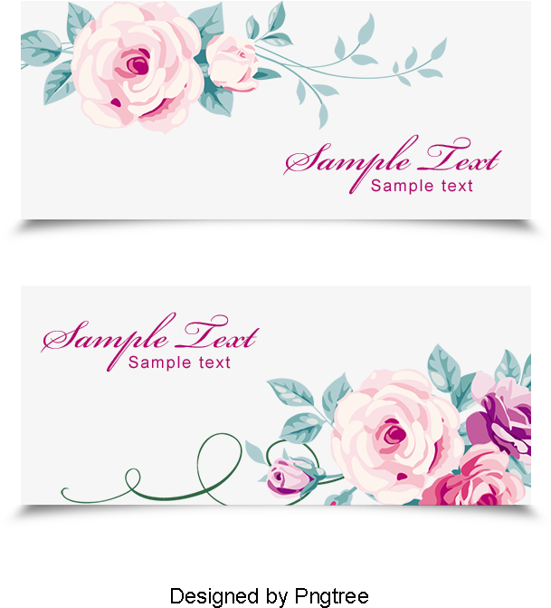 Wedding Invitations, Flowers Png And Vector - Garden Roses (800x800), Png Download