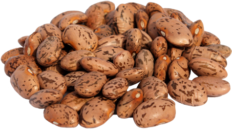 Pinto Beans Dried 1kg Evoo Qf - Bean (480x283), Png Download