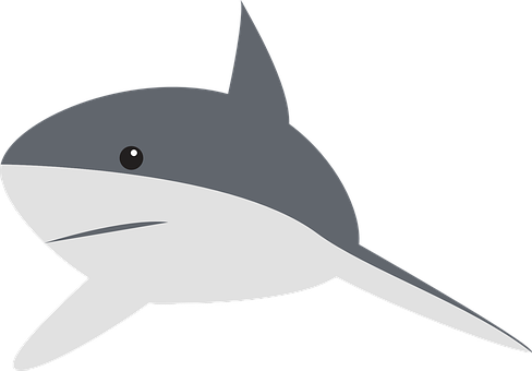 Shark Perspective Swimming Fin Animal Gray - Gray Shark Cartoon (488x340), Png Download