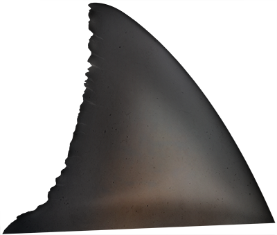 Shark Fin Png Clip Art - Shark Fin Transparent Background (400x339), Png Download