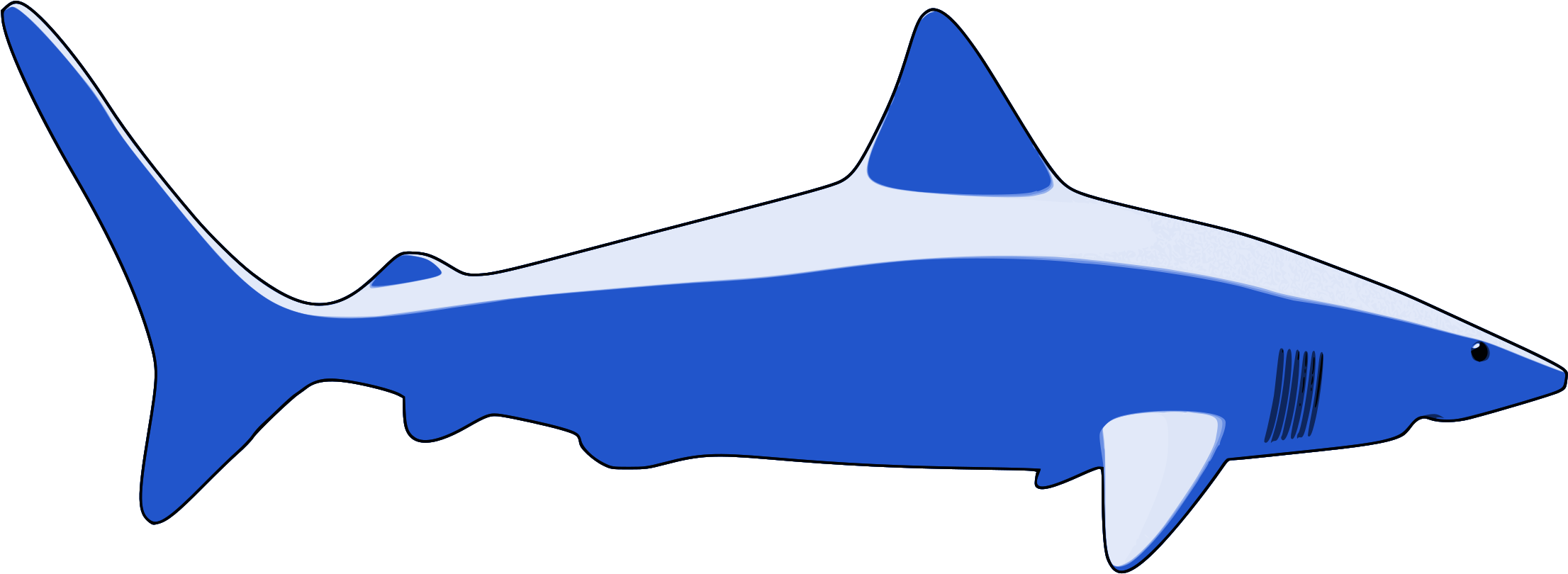 Requiem Sharks Great White Shark Fish Animal - Shark (716x340), Png Download