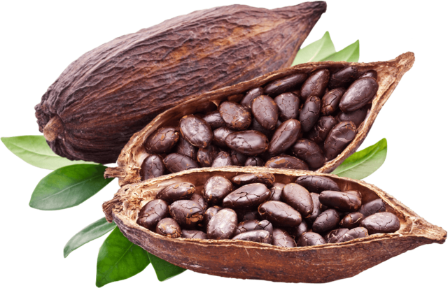 Cocoa Beans - Mesmara Raw Unrefined Cocoa Butter 150g (640x412), Png Download