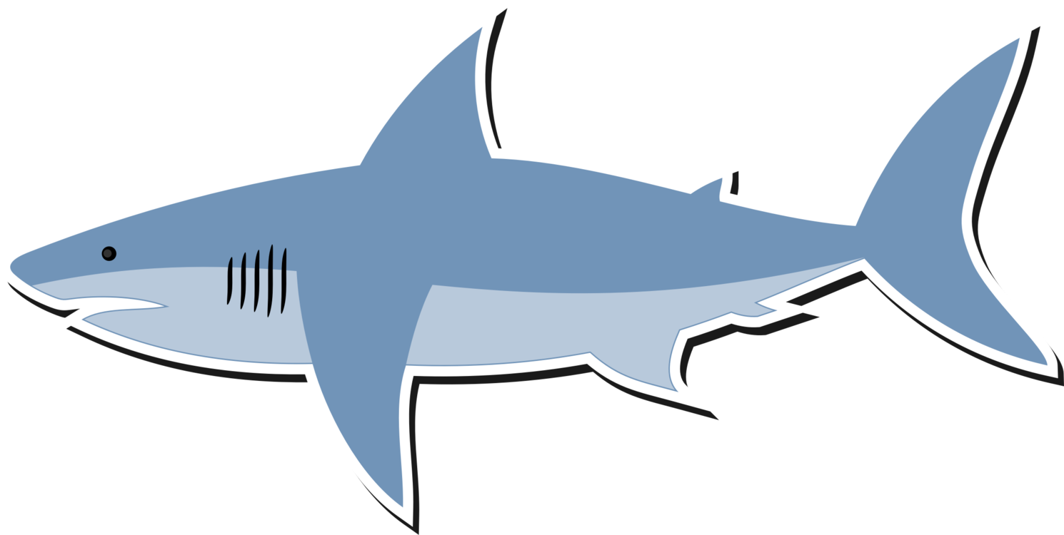 Great White Shark Bull Shark Shark Finning Lemon Shark - Cartoon Shark (1490x750), Png Download