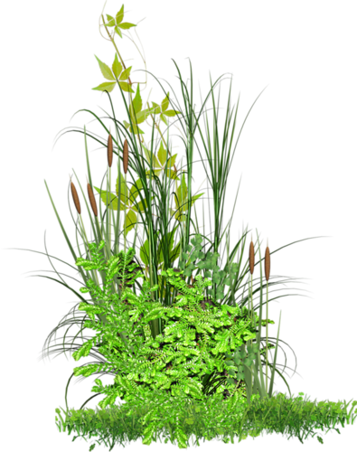 0 5f82a 7c1a6495 Xxxl - Png Files For Photoscape (395x500), Png Download