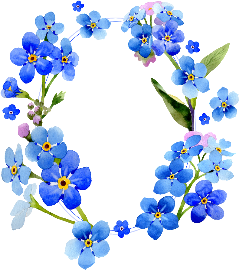 Hand Painted Forest Elf Flower Png Transparent - Myosotis Arvensis (1024x1024), Png Download