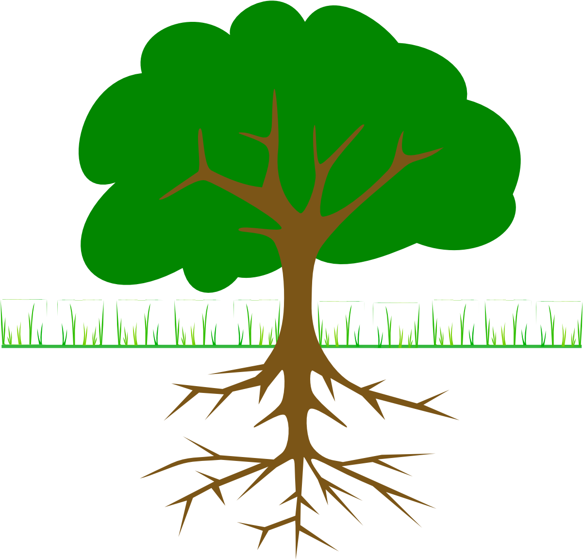 Branches And Roots - Tree Clip Art (600x575), Png Download