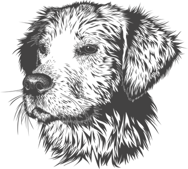 Dog, Animal, Domestic Animal, Doggie - Animal Head Vector Black White (379x340), Png Download