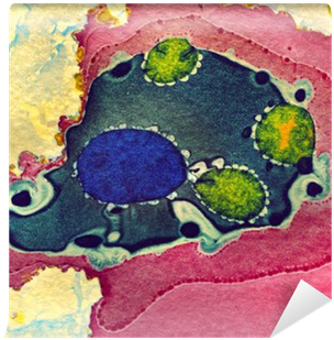 Colorful Patterns On Watercolor Paper Marbling Unique - Watercolor Painting (400x400), Png Download