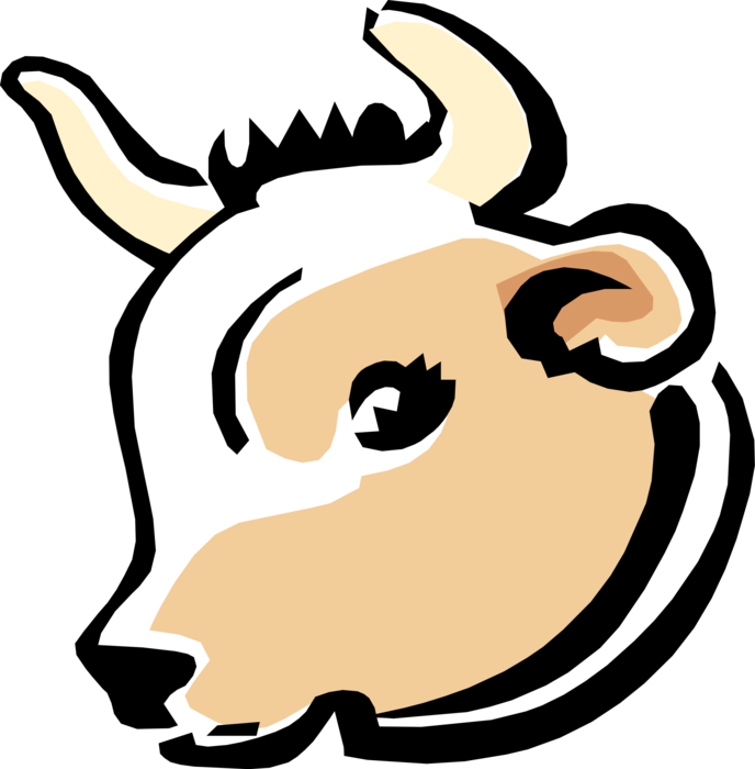 Farm Livestock Cow With Jpg - Cattle (688x700), Png Download