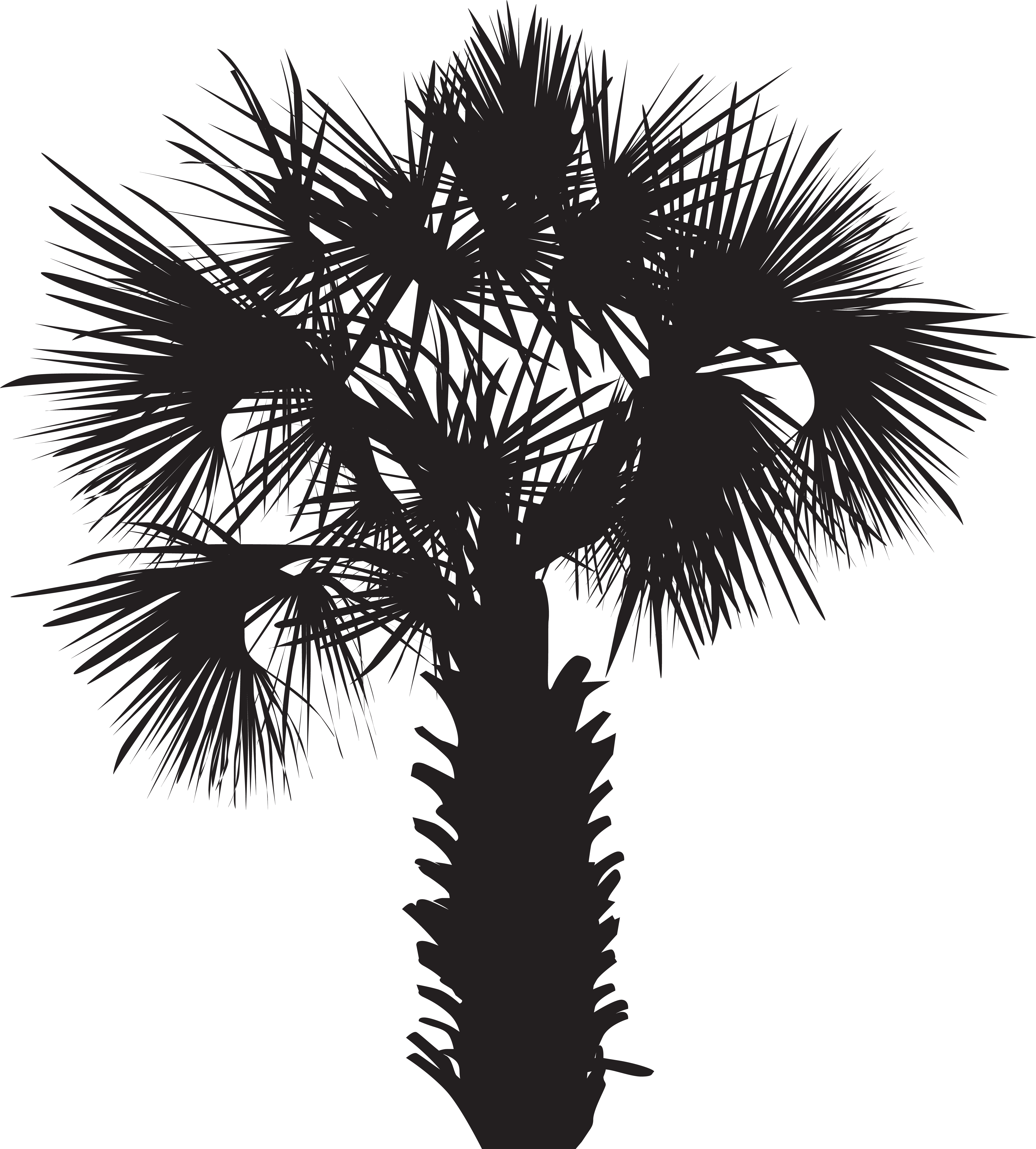 Palm Tree Silhouette Png (7290x8000), Png Download