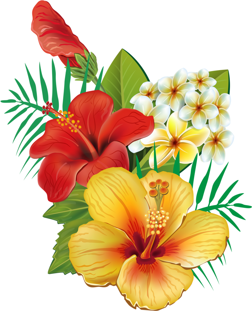 Tropical Flower Watercolor Png Clip Art Royalty Free - Tropical Hawaiian Flower Png (859x1024), Png Download