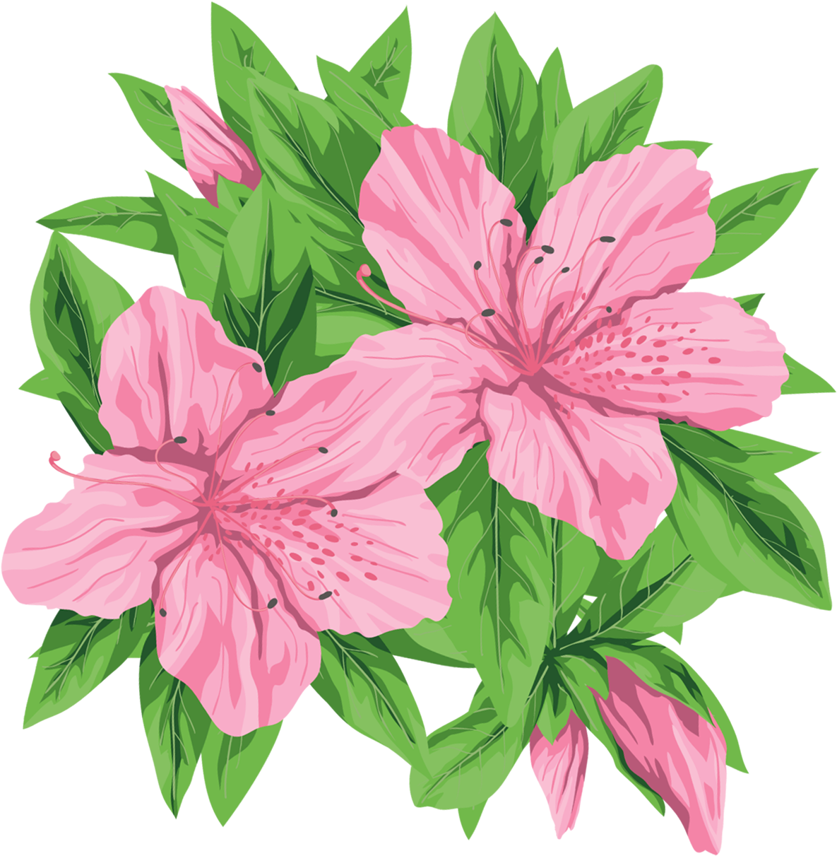 Pink Flowers Png Clip-art Image - Flowers Png (600x578), Png Download