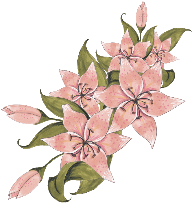 Hand-painted Head Ornaments Png Transparent Material (1024x1280), Png Download