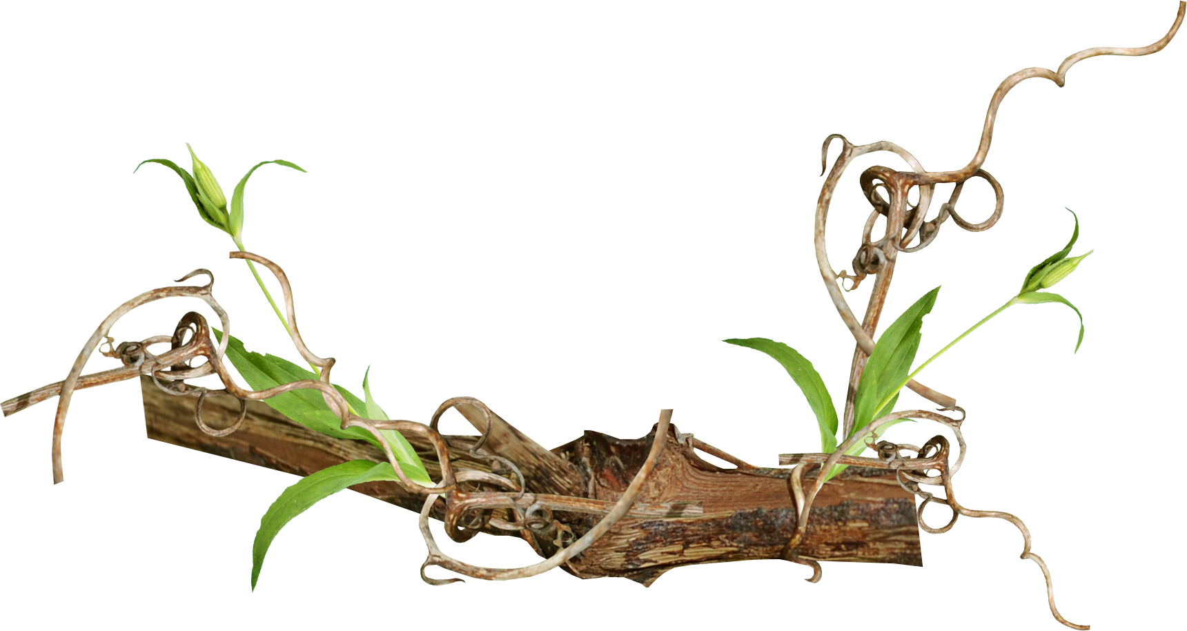 Clip Art Freeuse Info - Vintage Branch Png (1720x914), Png Download