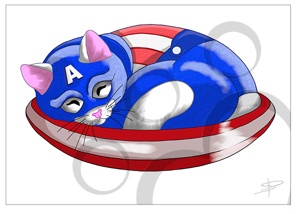 Captain America Kitty - Captain America (591x591), Png Download