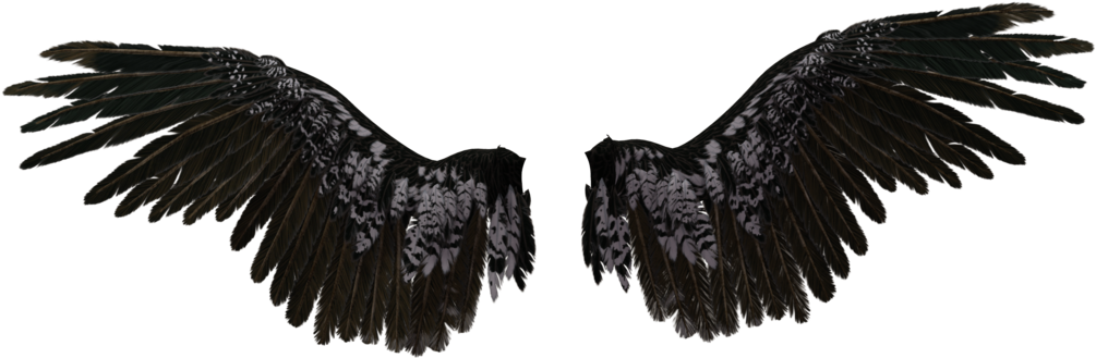 Transparent Angel Wings - Black Angel Wings Transparent (500x329), Png Download
