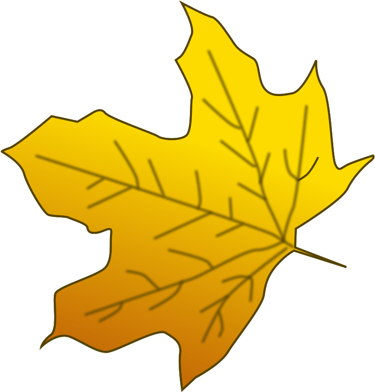 This Graphics Is Leaves 3 About The Maple Leaves,vector,vector - Leaf Clip Art (800x732), Png Download