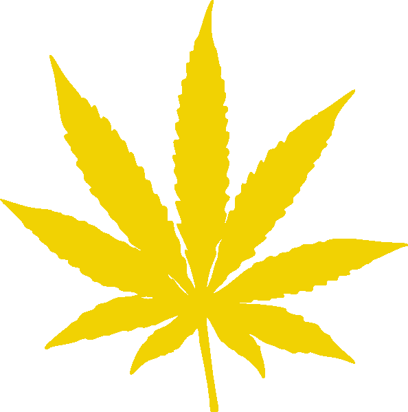 White Weed Leaf Transparent (594x599), Png Download
