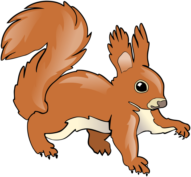 Tree Squirrel Chipmunk Computer Icons Drawing Free - Squirrel Drawing (811x750), Png Download