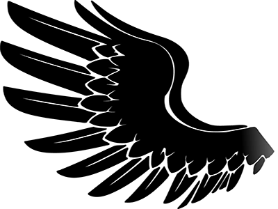 Left Wing - Left Wing Transparent Background (400x300), Png Download