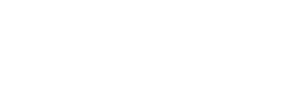 Twisted Forest Png - Portable Network Graphics (1000x316), Png Download