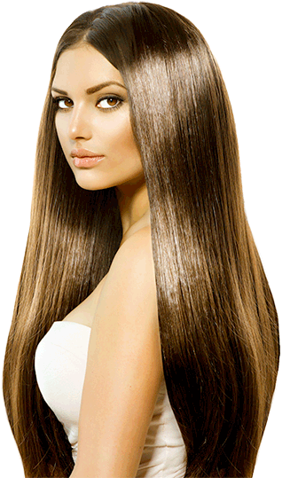 Download Model Salon Png - Long Hair Silky Brown - Full Size PNG Image