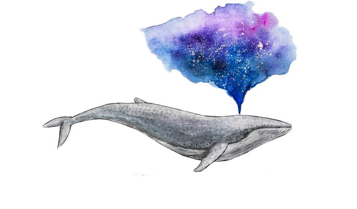 Watercolor Painting Drawing Whale Art - Watercolour Whale (736x486), Png Download