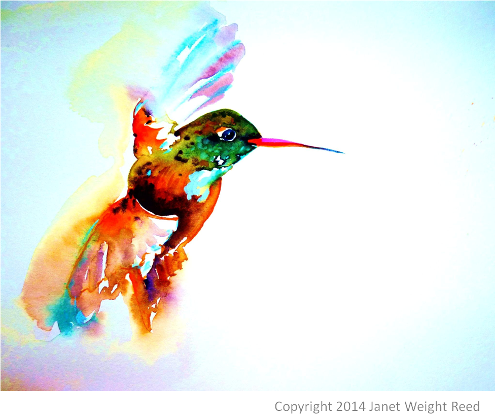 "twilight Flight" Hummingbird Print By Janet Weight (1052x1052), Png Download