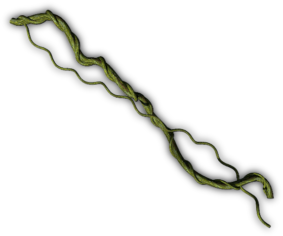 Junglevine-b (640x480), Png Download