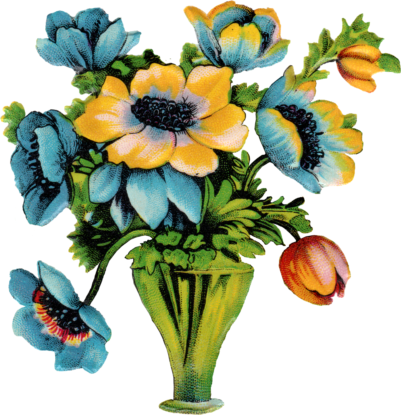 Now The Size Is About 2,0000 X 2144 Pixels - Winter Aconite (1492x1600), Png Download