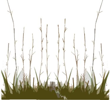 Description Backgrounds 1423862825 Prairie Intro - Sweet Grass (372x338), Png Download