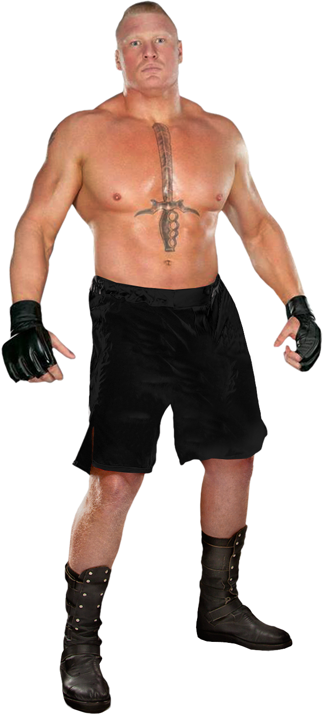 Brock Lesnar Wwe Brock, Brock Lesnar, Dolph Ziggler, - Wwe Brock Lesnar Wwe Universal Champion (664x1465), Png Download