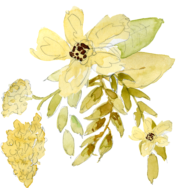 Watercolor Leaf Decoration Material - Portable Network Graphics (1024x1024), Png Download