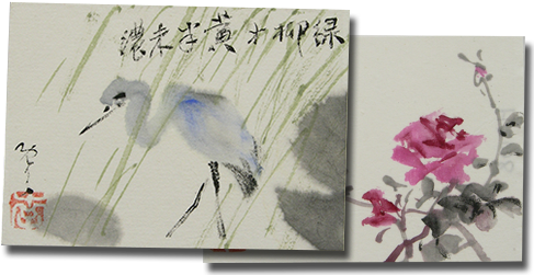 Thank-cards - Bougainvillea (508x250), Png Download