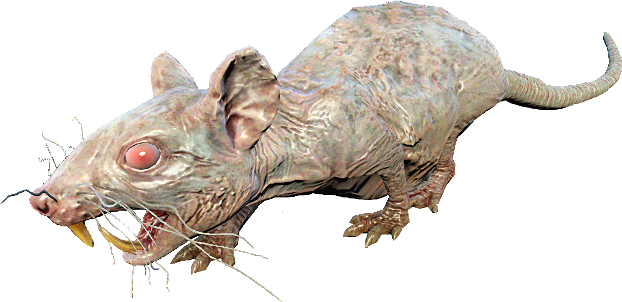 Fo4nw Rad-rat - Fallout 4 Rad Rat (1298x780), Png Download