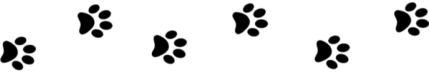 Animals - Contorno De Huellas Gato (680x340), Png Download