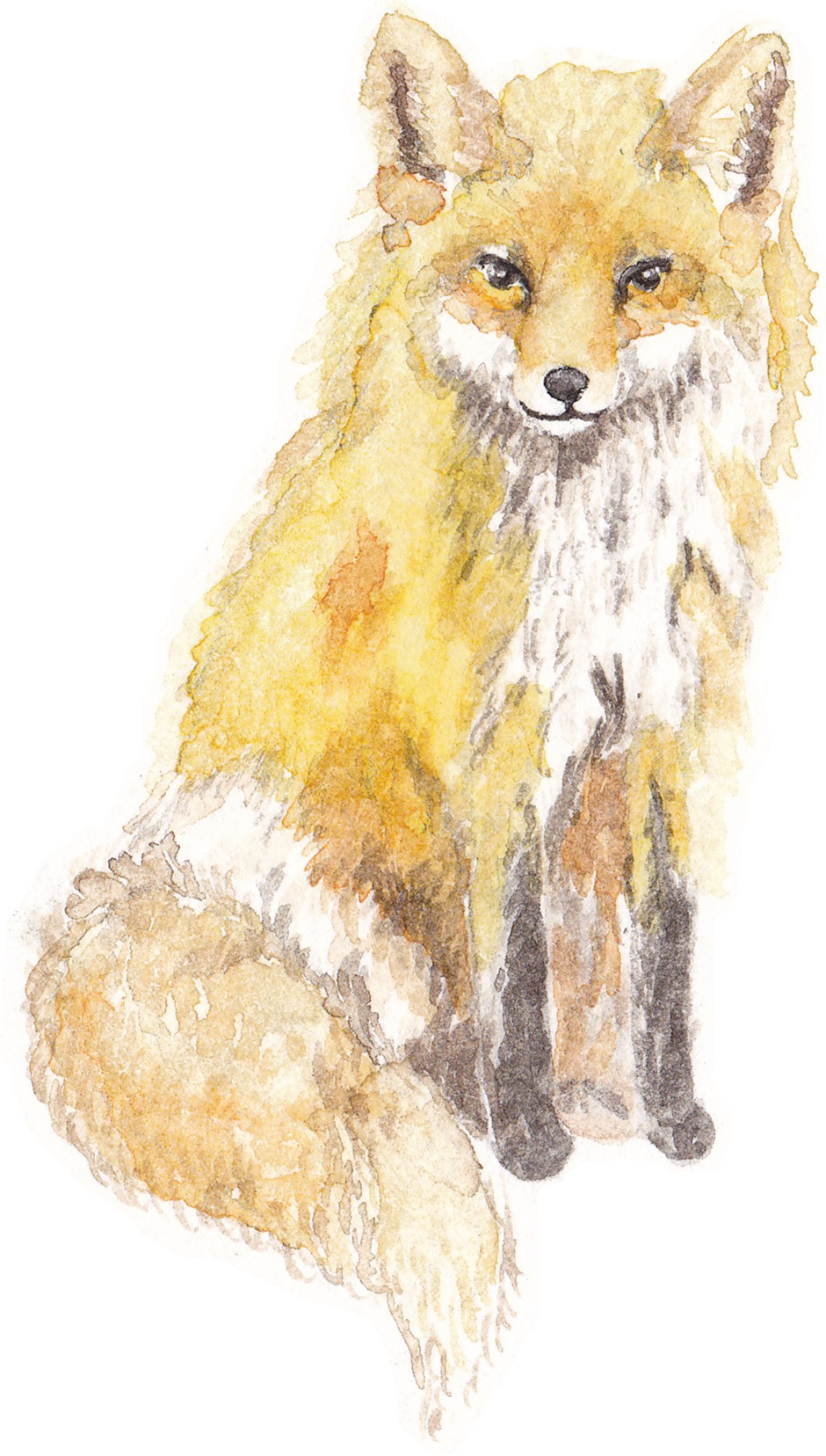 Handpainted Watercolour Logo For A Small Flower Farm - Red Fox (940x1656), Png Download