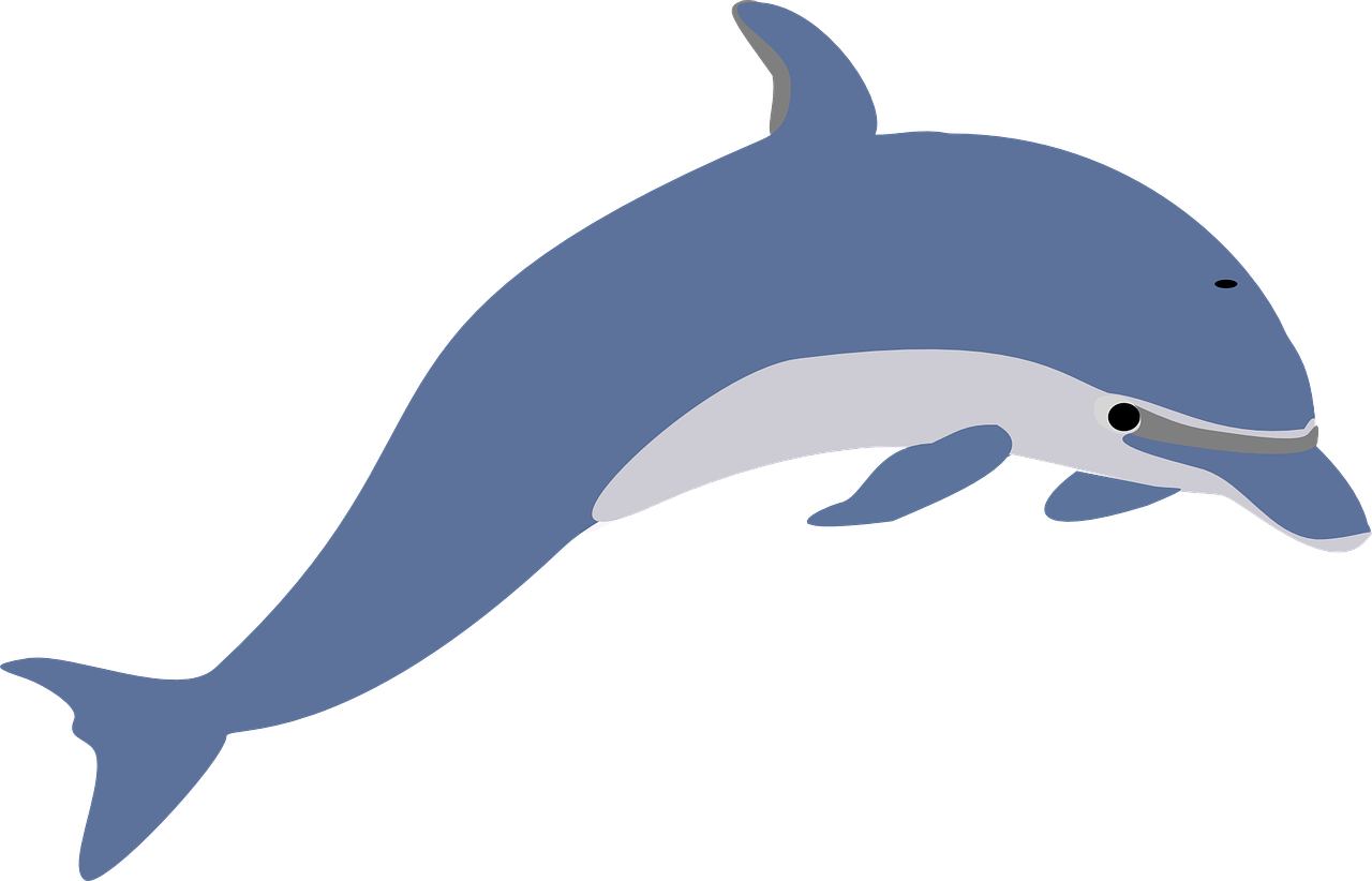 How To Set Use Another Dolphin Clipart (900x578), Png Download
