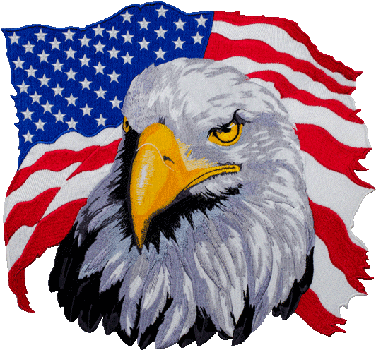 American Eagle Motorcycle Back Patch - American Eagle Png (571x628), Png Download