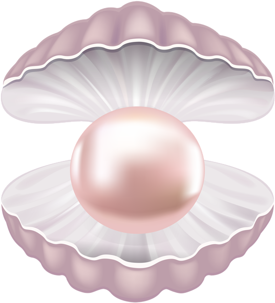 Clip Art Library Pearl Shell Transparent Clip Art Image - Shell Pearl Clipart Png (544x600), Png Download