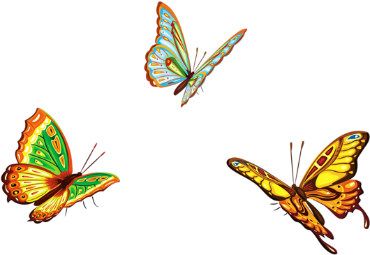 0, - Butterflies Png (600x407), Png Download